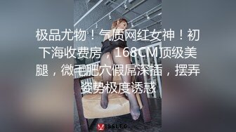 操个蕾姆小妹妹2