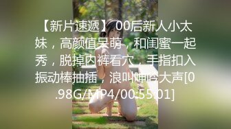 疯狂3P爆操骚浪丝袜淫妻,完美露脸(VIP)