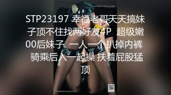 最新5月无水首发！穷人女神有钱人母狗，南航空姐【月野兔mmy】私拍，露出3P有人的公共场合偸偸做爱，母狗属性拉满