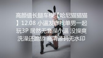 91经典系列资源整理合集P19【23V】 (2)