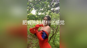 高价约极品美腿靓女