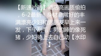 MD-0230-1家族团圆饭EP1新年乱伦母女