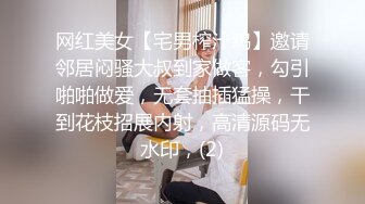 悉尼打桩机与探探姐姐