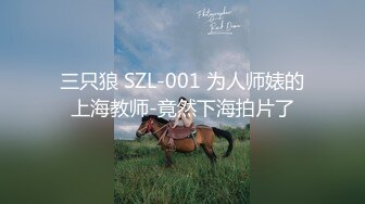 三只狼 SZL-001 为人师婊的上海教师-竟然下海拍片了