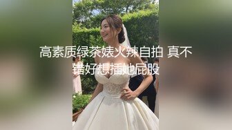 麻豆传媒 MCY0110 黑丝收藏家的秘密交易 夏禹熙