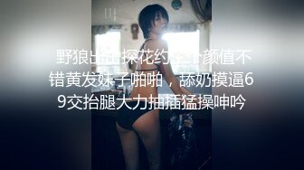  野狼出击探花约了个颜值不错黄发妹子啪啪，舔奶摸逼69交抬腿大力抽插猛操呻吟