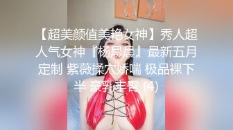 太完美了 满足幻想 AI绘画 黑白丝 电车 M腿 大摆骚姿 露出