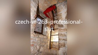 czech-vr-263-professional-slut