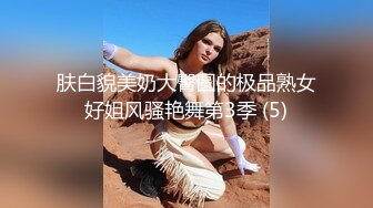 肤白貌美奶大臀圆的极品熟女好姐风骚艳舞第3季 (5)