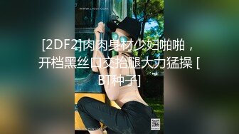 STP28448 模特身材翘臀美腿小姐姐！性感连体黑网袜！振动棒磨蹭肥穴，翘屁股极度诱惑，从后面震动小穴 VIP0600