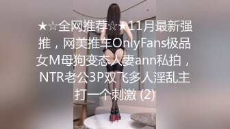 ★☆全网推荐☆★11月最新强推，网美推车OnlyFans极品女M母狗变态人妻ann私拍，NTR老公3P双飞多人淫乱主打一个刺激 (2)