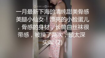 3.29文轩探花(一屌代班)约啪 长发休闲装女神，被大鸡巴操的呻吟淫荡