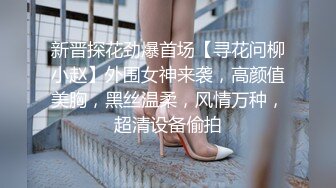 新晋探花劲爆首场【寻花问柳小赵】外围女神来袭，高颜值美胸，黑丝温柔，风情万种，超清设备偷拍