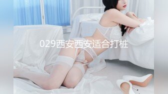 029西安西安适合打桩