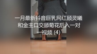 河池少妇爱上位