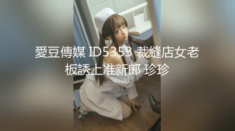 MD-0336爆乳候选人政见发表会