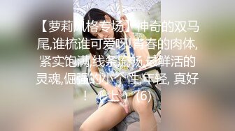 麻豆传媒 金麟岂是池中物  小凤新婚 全