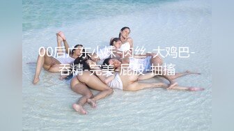 大神夯先生-约炮E奶小白领黑丝爆乳装高清完整版