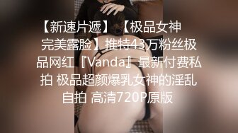 翘臀女神顶级视图福利包-VVLOL-1米7大高个顶级美腿白虎女250P+65V