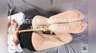 少妇白洁第三章MDSR-0005-3风情万种的少妇