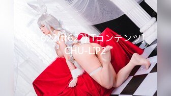 TT-622(tt622)[Tコンテンツ]CHU-LIP2