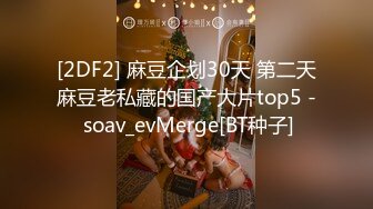 [2DF2] 麻豆企划30天 第二天麻豆老私藏的国产大片top5 - soav_evMerge[BT种子]