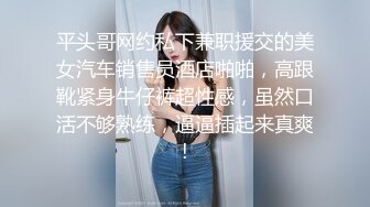 侧入商丘长腿美臀听话小母狗少妇