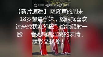 骚情豹纹少女