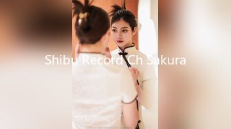 Shibu Record Ch Sakura