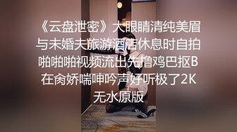 与身着赤兔服渔网袜之02行房事