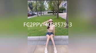 欧美厕所偷拍Pisswc系列合集【39V】 (21)