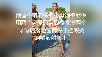 SWAG 原气萌犬--狗耳朵情趣内衣尖头细高跟鞋黑丝双马尾翘臀乳沟裸体调情色诱艳舞制服诱惑 Fetishbody